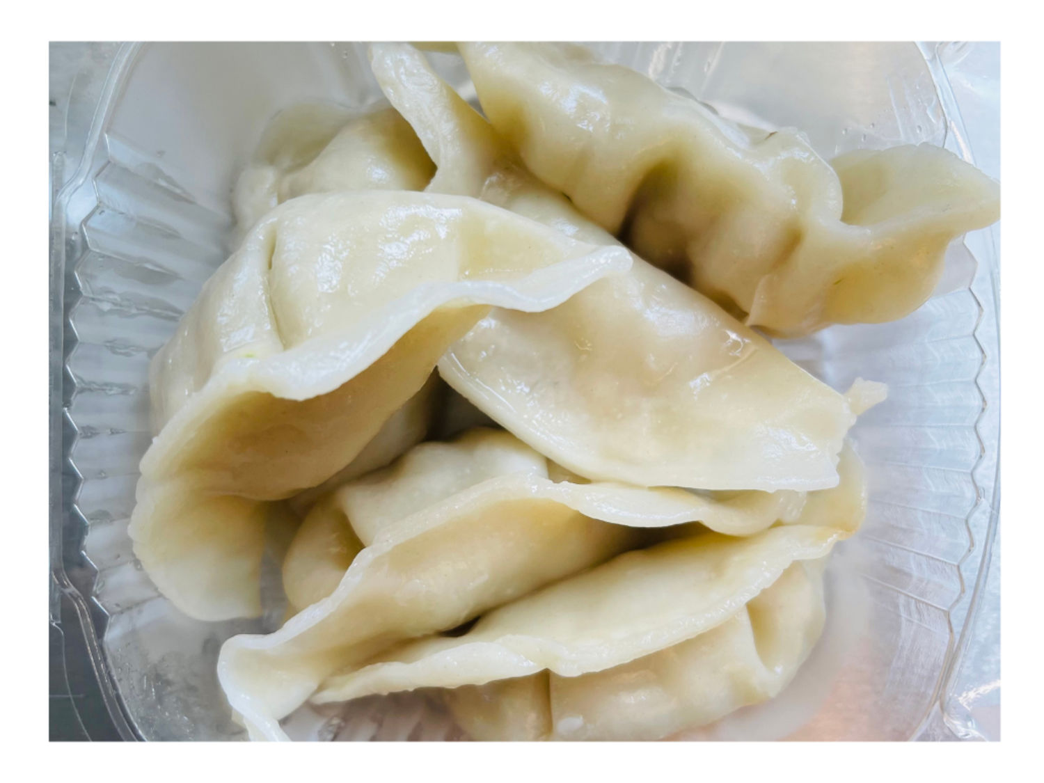 Chicken Dumplings (6)